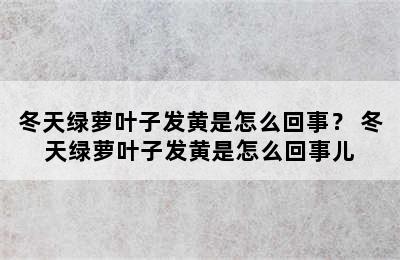 冬天绿萝叶子发黄是怎么回事？ 冬天绿萝叶子发黄是怎么回事儿